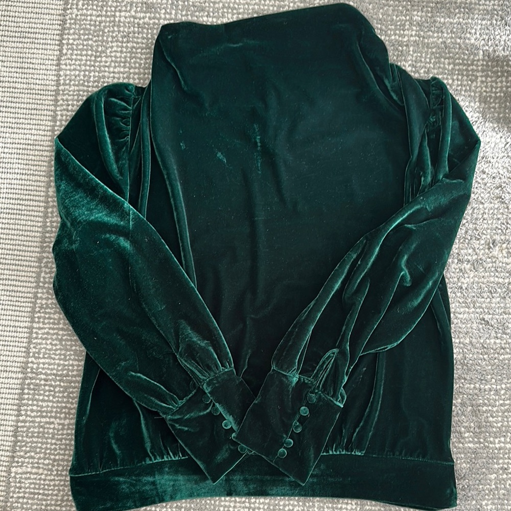 Elegant Velvet Green Blouse